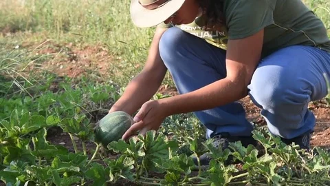 Young female farmer Stock Footage