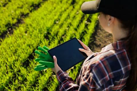 Young female farmer with a tablet in her hands examines the green field Stock Photos