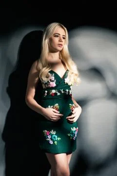 Young female model posing in black dress Stock Photos