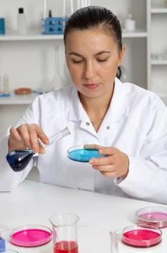 Young Female Scientist Analyzing Sample In Laboratory.laboratory assistant .. Stock Photos