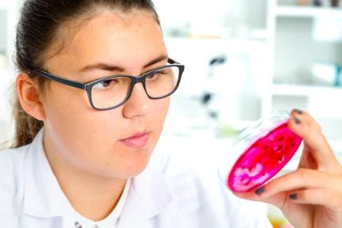 Young Female Scientist Analyzing Sample In Laboratory Stock Photos