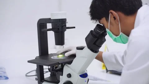 Young female scientist looking at microscope with sample on plate in Medical lab Stock Footage 131551023