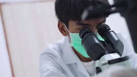 Young female scientist looking at microscope with sample on plate in laboratory Stock Footage 134551303