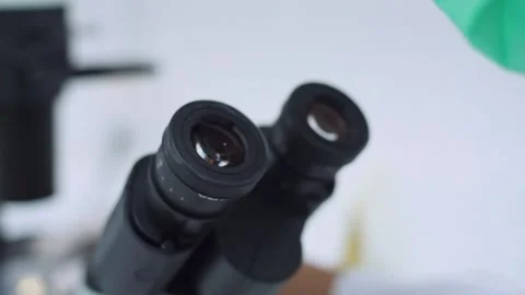 Young female scientist looking at microscope with sample on plate in laboratory Stock Footage 134898592