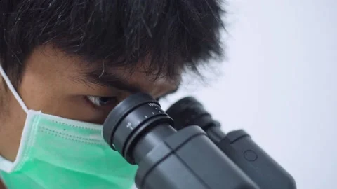 Young female scientist looking at microscope with sample on plate in laboratory Stock Footage 134898596