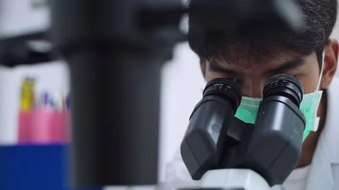 Young female scientist looking at microscope with sample on plate in Medical  Stock Footage 135332083