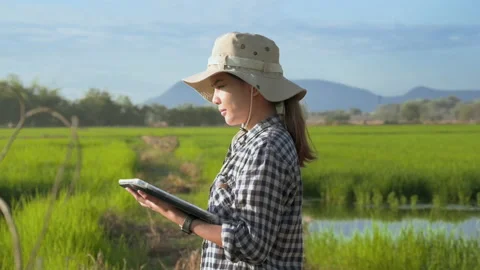 Young female smart farmer with tablet on field,High technology innovations an Stock Footage 170235551