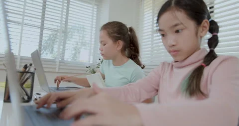 Young Female Students Typing On Laptops In A Bright Classroom Medium Shot Stockbeeldmateriaal 336248651