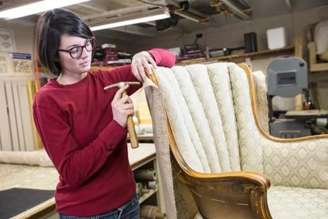 A young female upholsterer using a tack hammer on a chair in an upholstery shop. Stock Photos