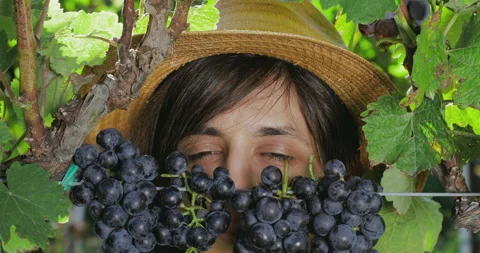 Young female in vineyard. Stock Footage 138920035