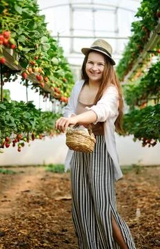 Young female worker in straw hat and basket ,contemporary vertical farm picking Stock Photos