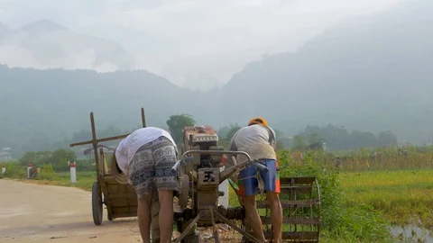 Young field workers Vietnam Stock Footage 128697399