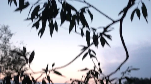 Young fit guy running at dusk Stock Footage 117910256