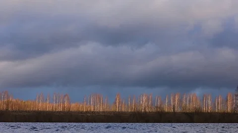 Young forest by the river in the low winter sun Stock Footage 124410575