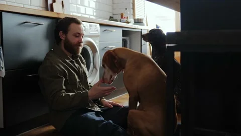 A young freelancer is sitting on the kitchen floor with his two dogs Stock Footage 234344031