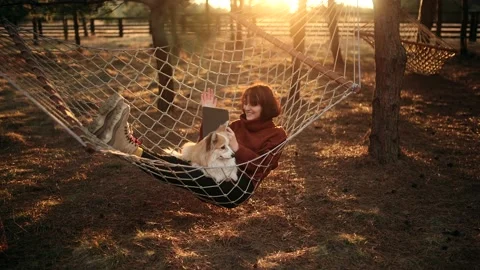 Young freelancer woman with dog using tablet working call video conference with Stock Footage 171639618