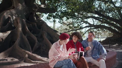 Young Friends Drinking Yerba Mate by Massive Tree Roots in Public Park Stock Footage 345389428