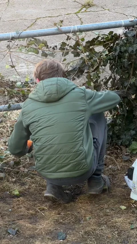A young gardener wearing a green jacket performs yard maintenance by trimming Stock Footage 346483302