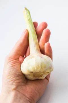 Young garlic in a hand Stock Photos