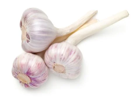 Young Garlic Isolated On White Background Stock Photos