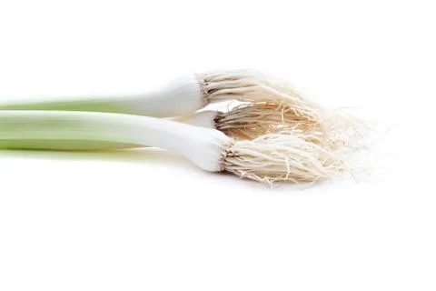 Young garlic Stock Photos