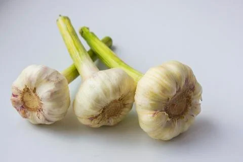 Young garlic Stock Photos