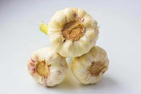 Young garlic Stock Photos