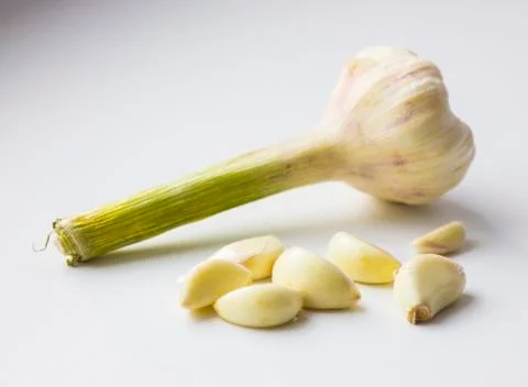 Young garlic Stock Photos