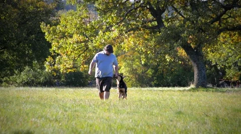 Young german shepherd and trainer walking in the field front medium Stockbeeldmateriaal 59966306