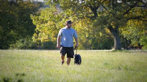 Young german shepherd and trainer walking in the field front medium Stock Footage 59966330