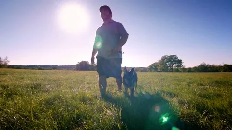 Young german shepherd and trainer walking in the field front steadicam Video stock 59966364