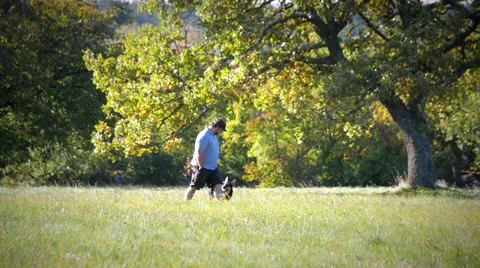 Young german shepherd and trainer walking in the field side wide Stock-Footage 59966443