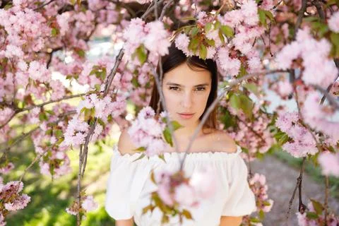 Young Gilrs Face Looking at the Camera, Standing in the Sakura Flowers Blooming Stock Photos