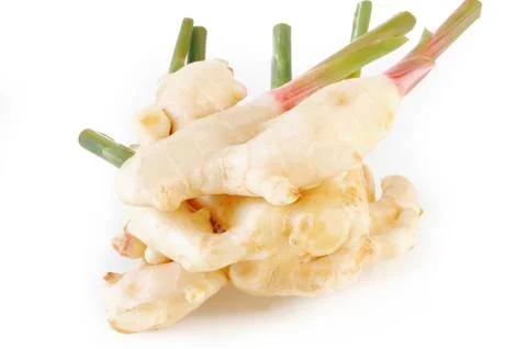 Young ginger root  on white background Stock Photos
