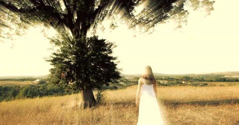Young Girl And The Magic Tree 04 Stock Footage