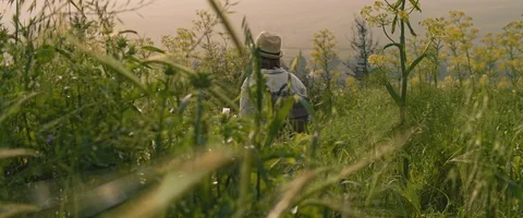 A young girl with backpack and a hat walking through the field at sunset Stock Footage 127097788