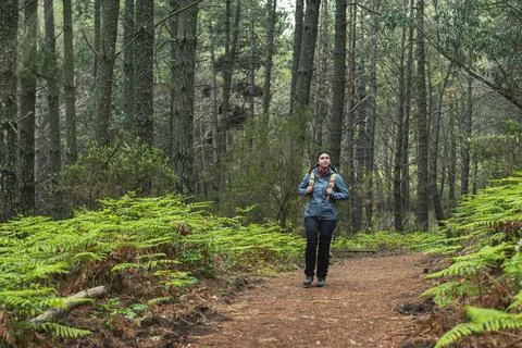 Young girl with backpack exploring a forest of pines and ferns Stock Photos