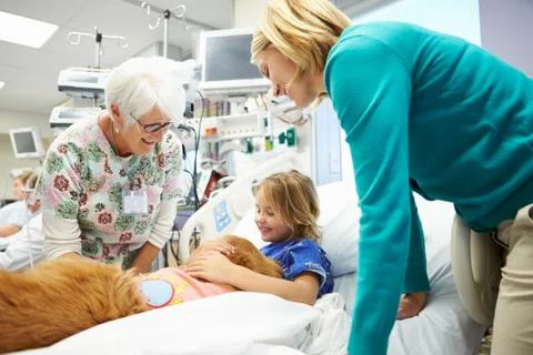 Young girl being visited in hospital by therapy dog Stock Photos