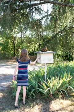 Young girl checking the post box for mail Stock Photos
