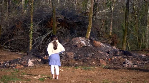 Young Girl Confronting Devastation in Forest Stock Footage 234929892