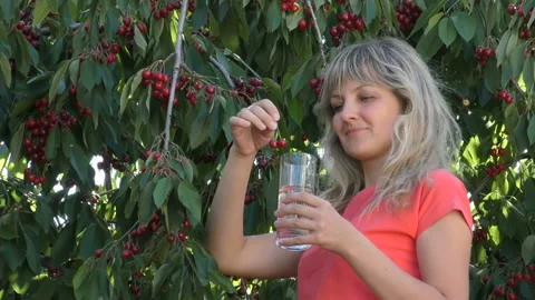 Young girl eats cherry Stock Footage 90526055