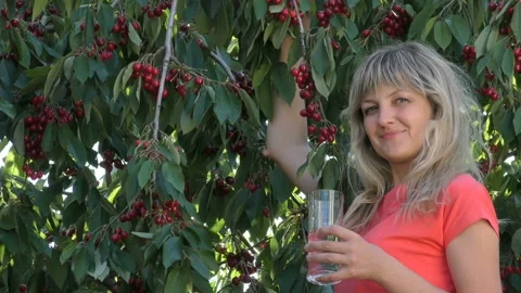 Young girl eats cherry Stock Footage 90629479