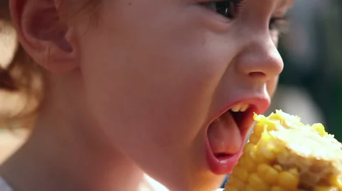 A young girl eats corn off of the cob Stock Footage 66461614