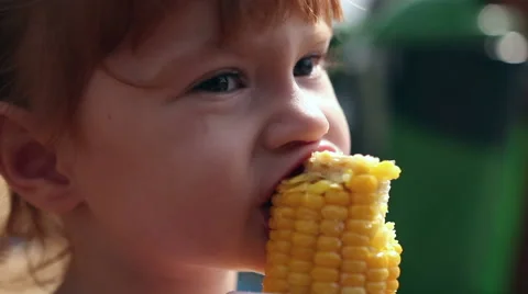 A young girl eats corn off of the cob Stock Footage 66462043