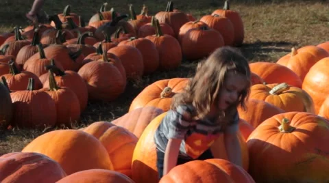 Young Girl Enjoys Pumpkins Patch Stock Footage 54554308