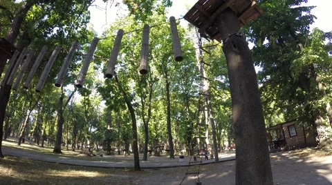 A young girl goes down from a high tree on a rope ladder. Stockbeeldmateriaal 59144098