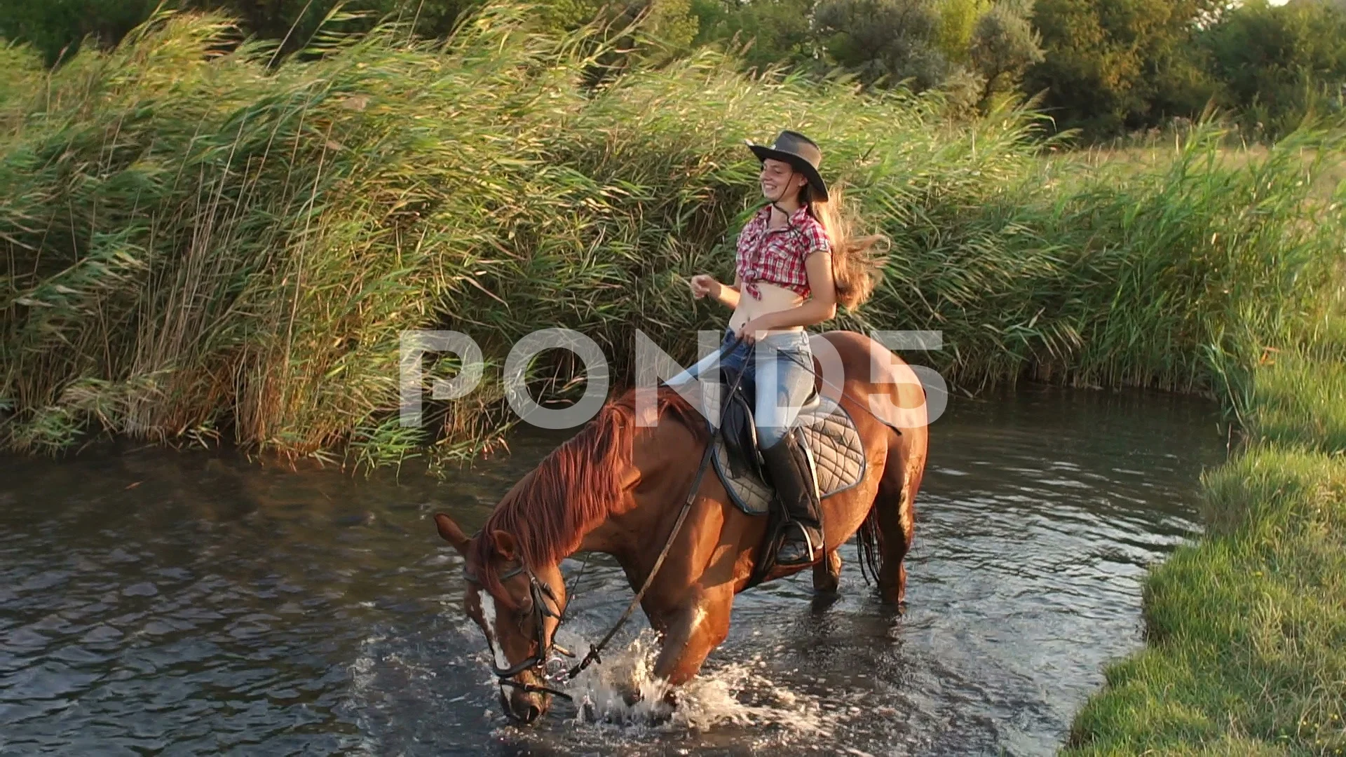 Young Girl With Her Horse Swimming In La Stock Video Pond5