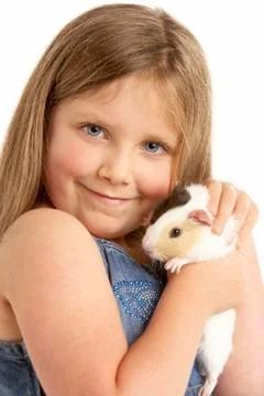 Young Girl Holding Pet Guinea Pig Stock Photos