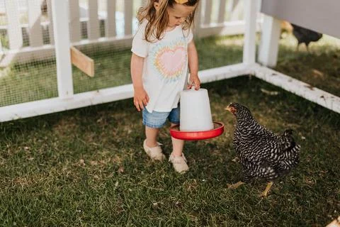Young girl holds chicken feeder in chicken coop as she does chores Stock Photos