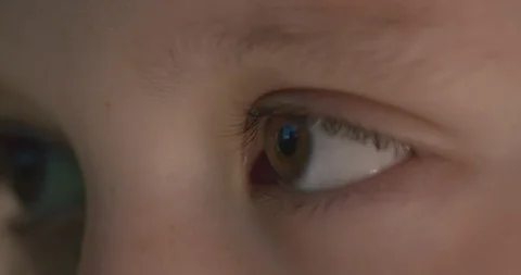 Young girl looking at computer screen with full concentration Video stock 96470132